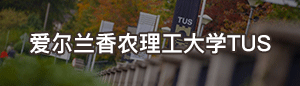 爱尔兰香农理工大学