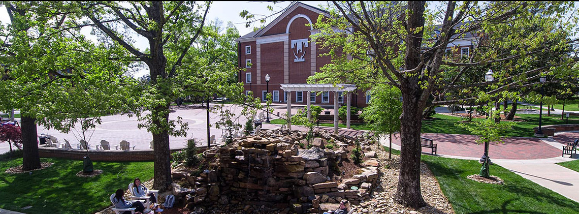 田纳西理工大学欢迎您!welcome to tennessee tech university